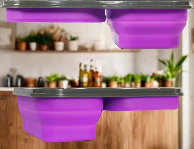 Boite de Conservation - BentoGo™ - Violet - Cuisineaccess